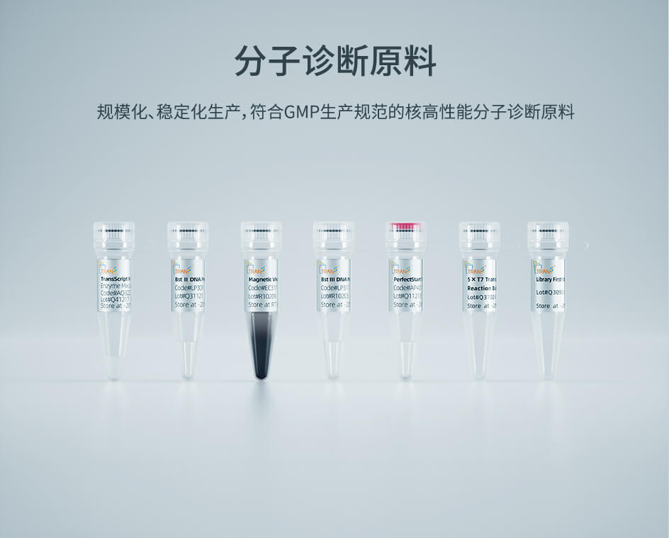 分子診斷