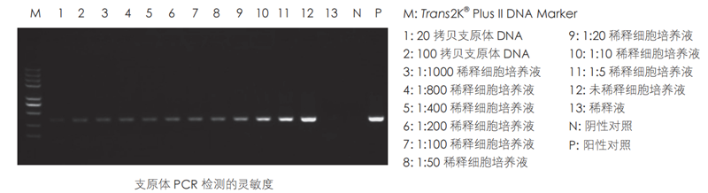 圖片1_副本.png