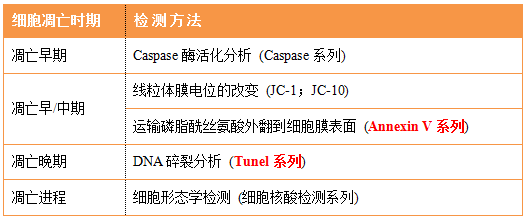QQ截圖20221201162215.png
