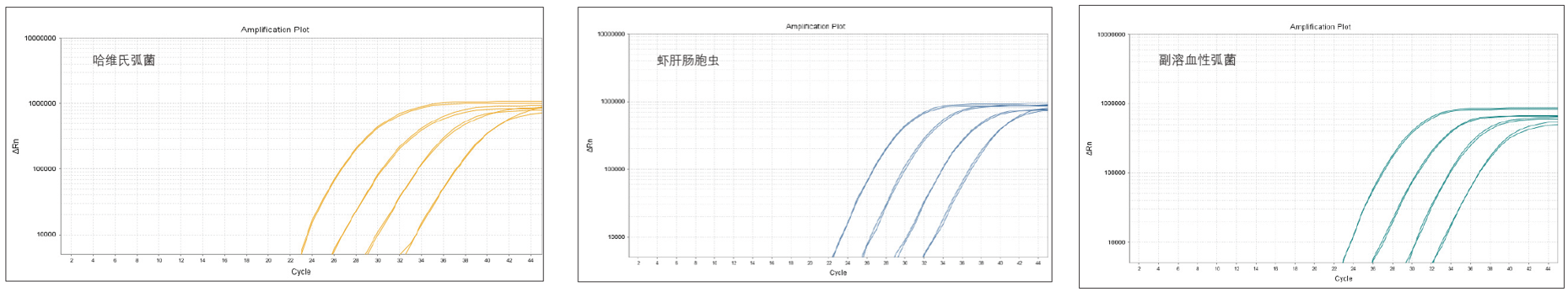 圖片20.png